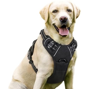 rabbitgoo Dog Harness, No-Pull Pet Harness with 2 Leash Clips, Adjustable Soft