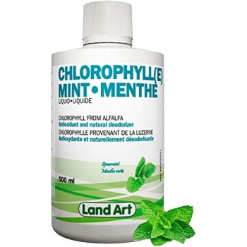 Liquid Chlorophyll Mint – Cold Extracted from Non-GMO Alfalfa - Detox - Alkaline