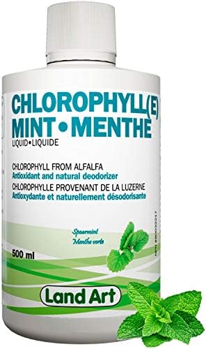 Liquid Chlorophyll Mint – Cold Extracted from Non-GMO Alfalfa - Detox - Alkaline