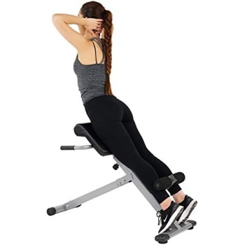 Sunny Health & Fitness Hyperextension Roman Chair Ab Workouts Sit Up Gym Bench