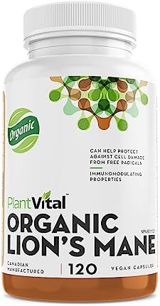 PlantVital Lions Mane Supplement - Lions Mane Mushroom Capsules- Lion Mane