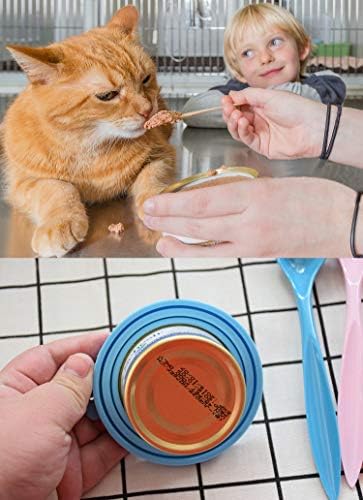 41XHKbdOhL._AC_.jpg